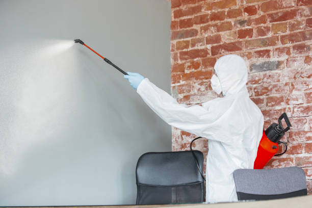 Best Forensic Mold Investigation  in Seaville, NJ