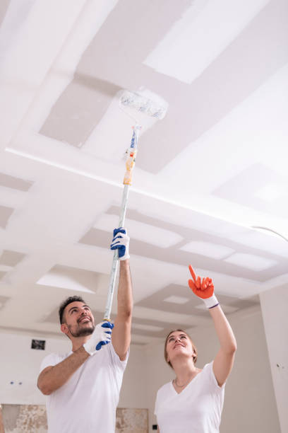 Best Black Mold Removal  in Seaville, NJ