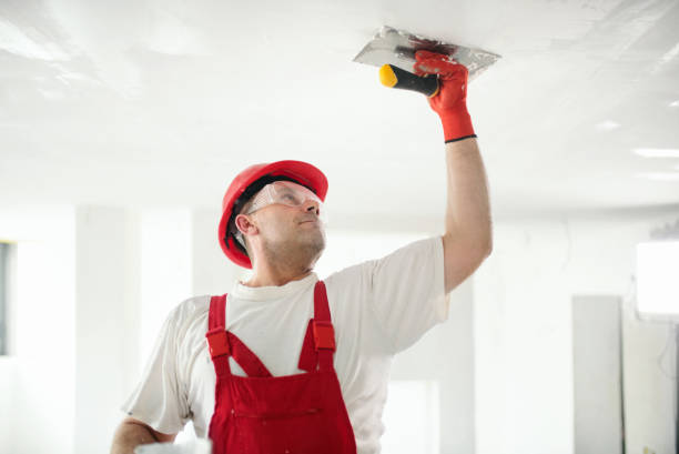 Best Asbestos and Lead Testing During Mold Inspection  in Seaville, NJ