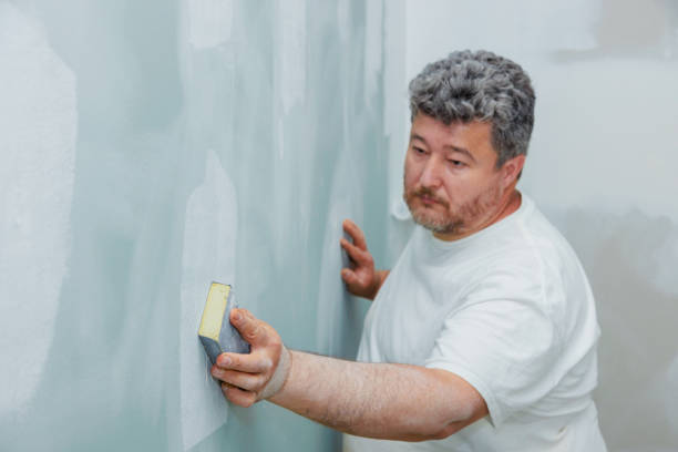 Trusted Seaville, NJ Mold Removal Experts