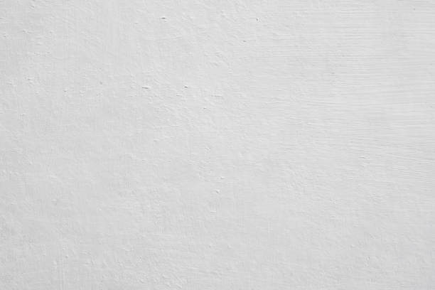  Seaville, NJ Mold Removal Pros