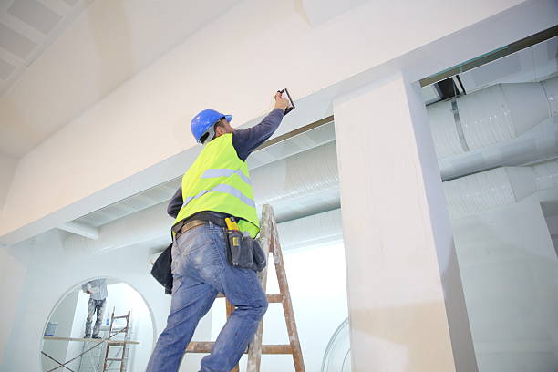 Best Attic Mold Removal  in Seaville, NJ